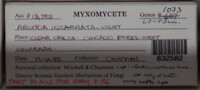 Image Associated With the Occurence